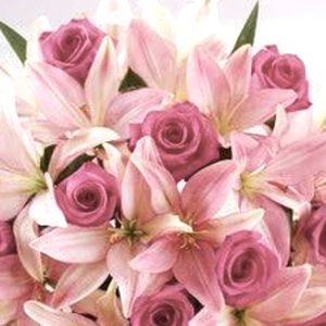 Meet your Posher, Olga